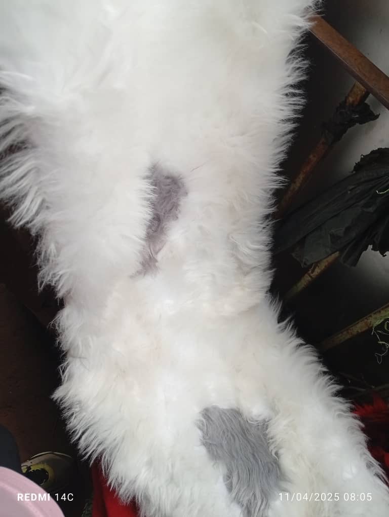 tapis de tableau de bord tapis de tableau de bord